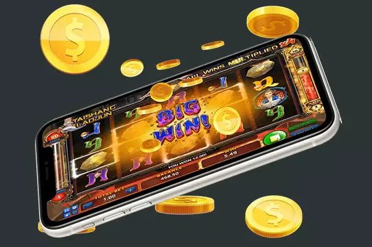 1bitjili